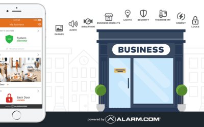 Small Business Security – Are Automated Systems Worth It?